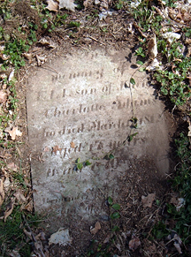 Headstone of Eli Adams