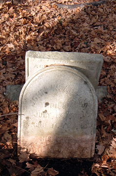 Headstone of James S. Adams